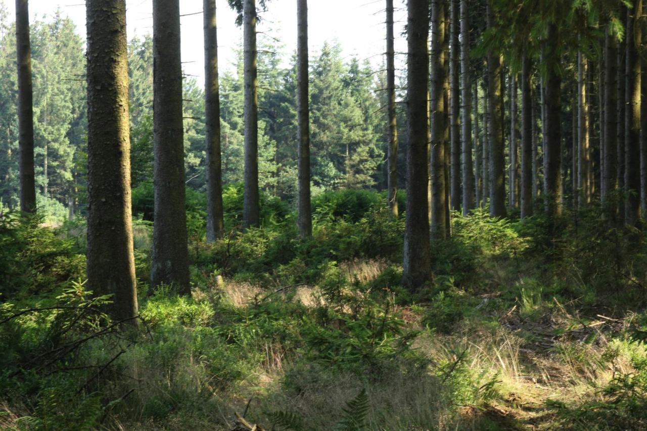 Le Clos Du Cerf - Le Sous-Bois Стумон Екстер'єр фото