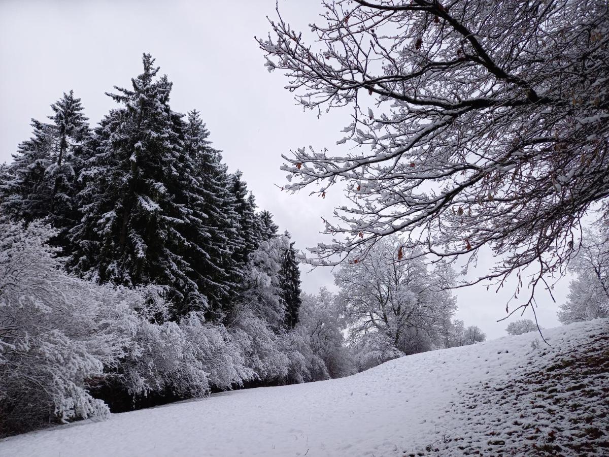 Le Clos Du Cerf - Le Sous-Bois Стумон Екстер'єр фото