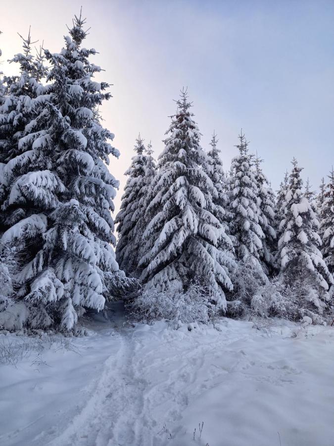 Le Clos Du Cerf - Le Sous-Bois Стумон Екстер'єр фото